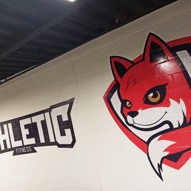 athletic fitness wall mural for gym